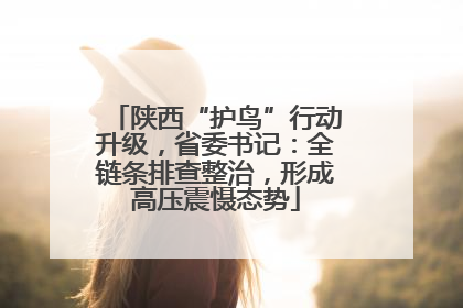 陕西“护鸟”行动升级，省委书记：全链条排查整治，形成高压震慑态势
