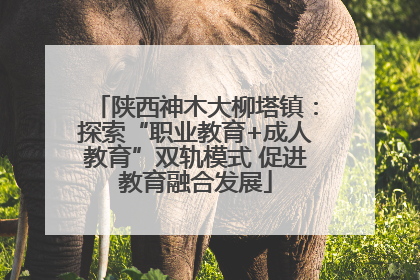 陕西神木大柳塔镇：探索“职业教育+成人教育”双轨模式 促进教育融合发展