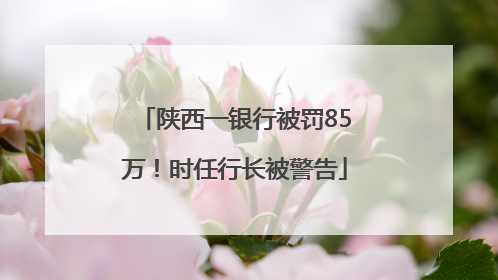 陕西一银行被罚85万！时任行长被警告