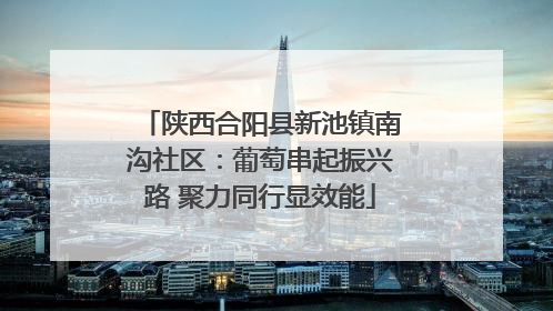 陕西合阳县新池镇南沟社区：葡萄串起振兴路 聚力同行显效能