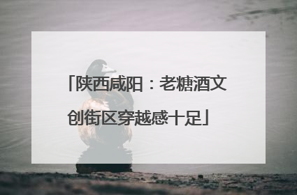 陕西咸阳：老糖酒文创街区穿越感十足
