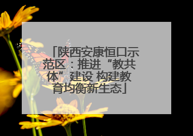 陕西安康恒口示范区：推进“教共体”建设 构建教育均衡新生态