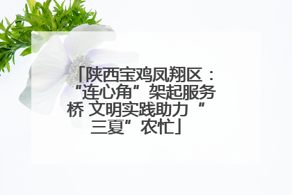 陕西宝鸡凤翔区：“连心角”架起服务桥 文明实践助力“三夏”农忙