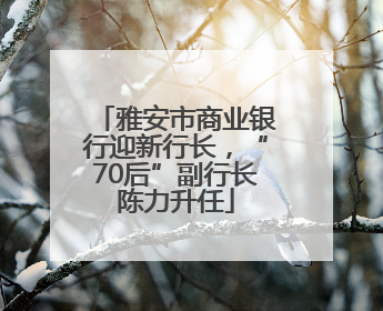 雅安市商业银行迎新行长，“70后”副行长陈力升任