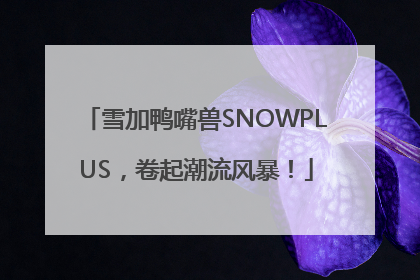 雪加鸭嘴兽SNOWPLUS，卷起潮流风暴！