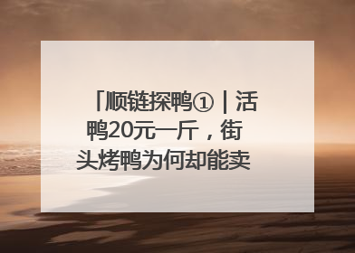 顺链探鸭①｜活鸭20元一斤，街头烤鸭为何却能卖到20多元一只