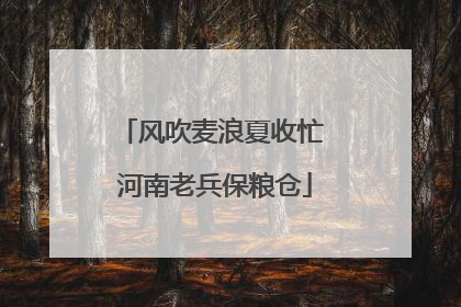 风吹麦浪夏收忙 河南老兵保粮仓