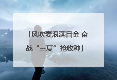 风吹麦浪满目金 奋战“三夏”抢收种