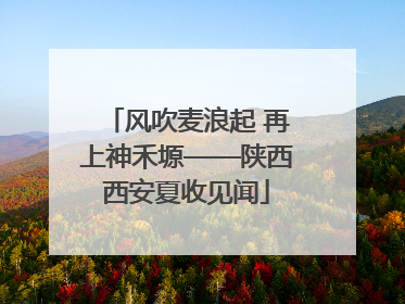 风吹麦浪起 再上神禾塬——陕西西安夏收见闻