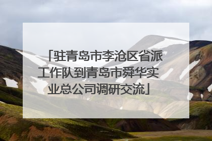 驻青岛市李沧区省派工作队到青岛市舜华实业总公司调研交流