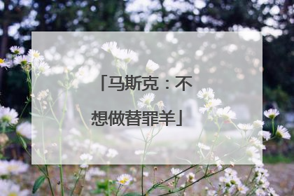 马斯克：不想做替罪羊