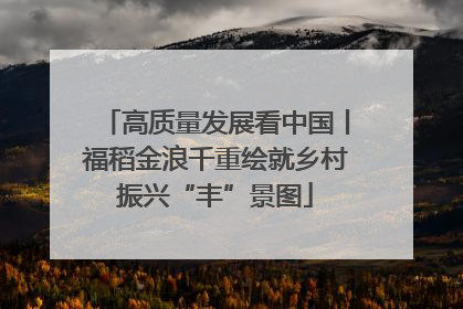 高质量发展看中国丨福稻金浪千重绘就乡村振兴“丰”景图