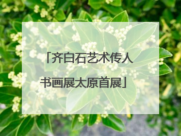 齐白石艺术传人书画展太原首展