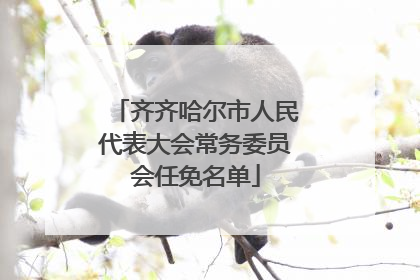 齐齐哈尔市人民代表大会常务委员会任免名单