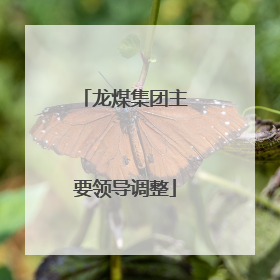 龙煤集团主要领导调整