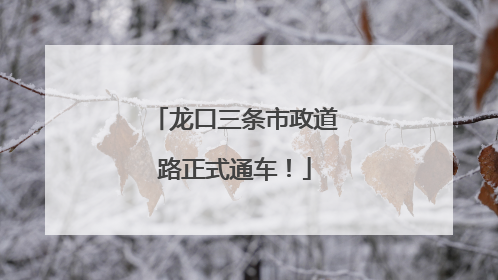龙口三条市政道路正式通车！