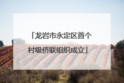 龙岩市永定区首个村级侨联组织成立
