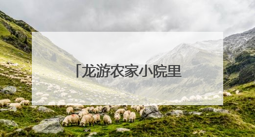 龙游农家小院里有新“养鱼经”