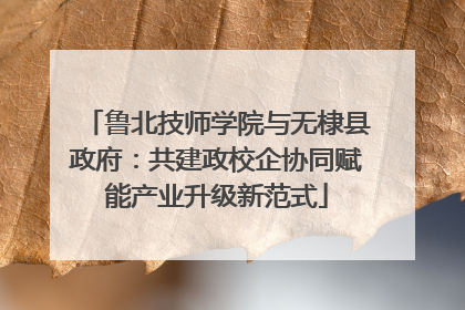 鲁北技师学院与无棣县政府：共建政校企协同赋能产业升级新范式