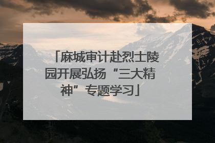 麻城审计赴烈士陵园开展弘扬“三大精神”专题学习