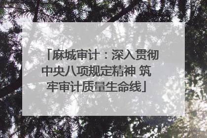 麻城审计：深入贯彻中央八项规定精神 筑牢审计质量生命线