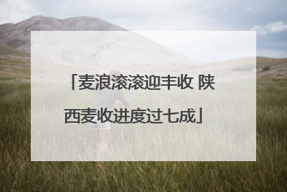 麦浪滚滚迎丰收 陕西麦收进度过七成