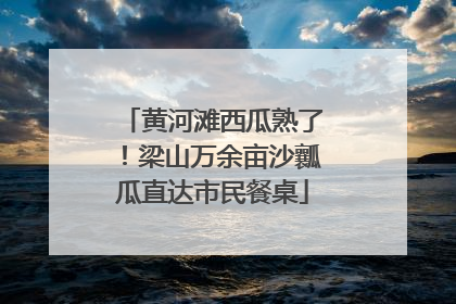 黄河滩西瓜熟了！梁山万余亩沙瓤瓜直达市民餐桌