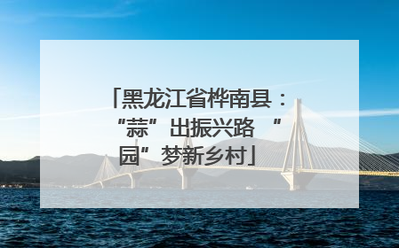 黑龙江省桦南县：“蒜”出振兴路 “园”梦新乡村