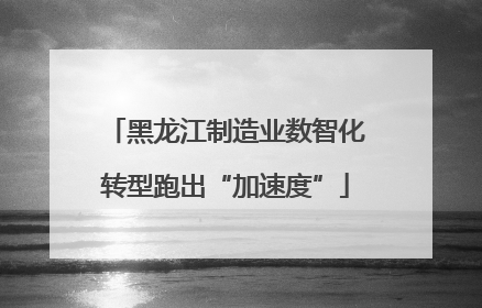 黑龙江制造业数智化转型跑出“加速度”