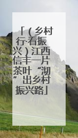 （乡村行·看振兴）江西信丰一片茶叶“沏”出乡村振兴路