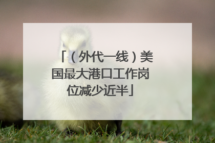 （外代一线）美国最大港口工作岗位减少近半
