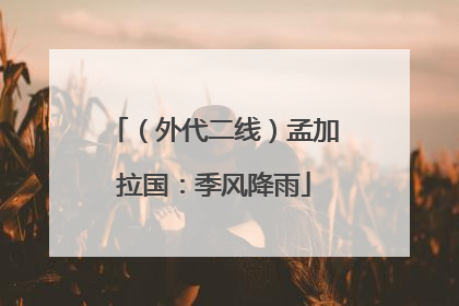 （外代二线）孟加拉国：季风降雨