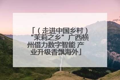 （走进中国乡村）“茉莉之乡”广西横州借力数字智能 产业升级香飘海外