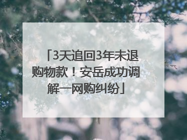 3天追回3年未退购物款！安岳成功调解一网购纠纷