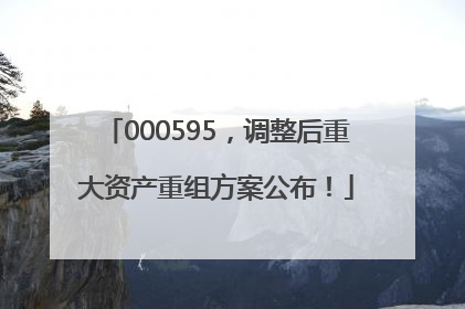000595，调整后重大资产重组方案公布！