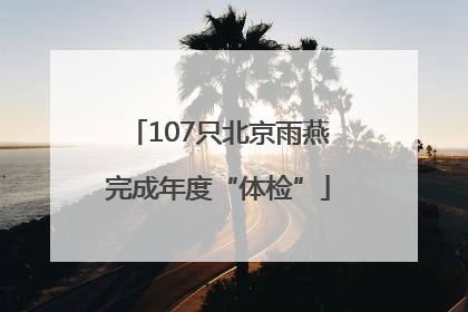 107只北京雨燕完成年度“体检”