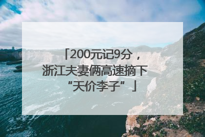 200元记9分，浙江夫妻俩高速摘下“天价李子”
