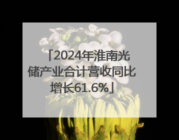 2024年淮南光储产业合计营收同比增长61.6%