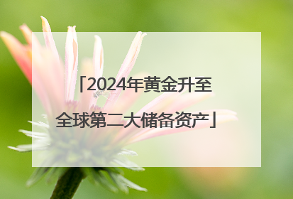 2024年黄金升至全球第二大储备资产