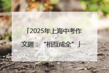 2025年上海中考作文题：“相互成全”