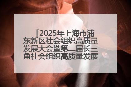 2025年上海市浦东新区社会组织高质量发展大会暨第二届长三角社会组织高质量发展峰会成功举办