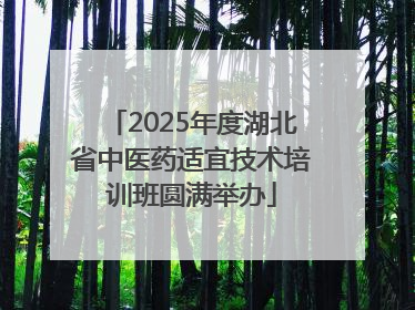 2025年度湖北省中医药适宜技术培训班圆满举办