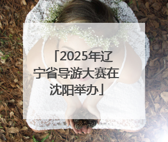 2025年辽宁省导游大赛在沈阳举办