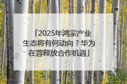 2025年鸿蒙产业生态将有何动向？华为在蓉释放合作机遇