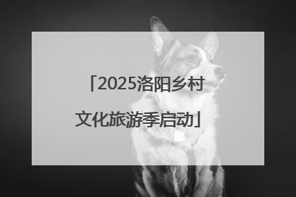 2025洛阳乡村文化旅游季启动