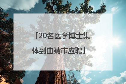20名医学博士集体到曲靖市应聘