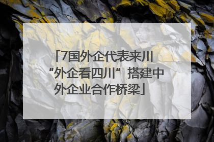 7国外企代表来川 “外企看四川”搭建中外企业合作桥梁