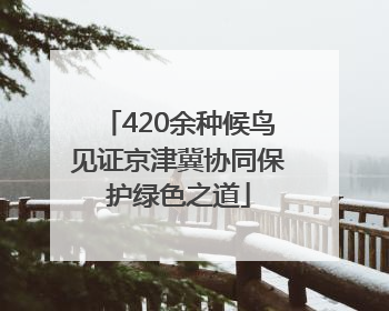 420余种候鸟见证京津冀协同保护绿色之道