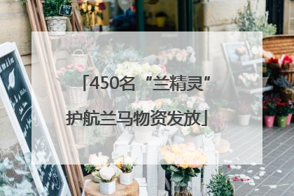 450名“兰精灵”护航兰马物资发放