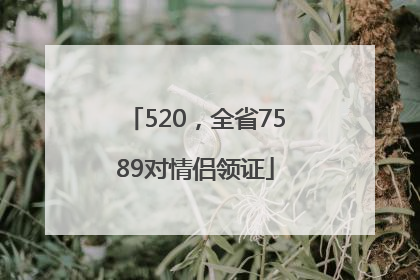 520，全省7589对情侣领证